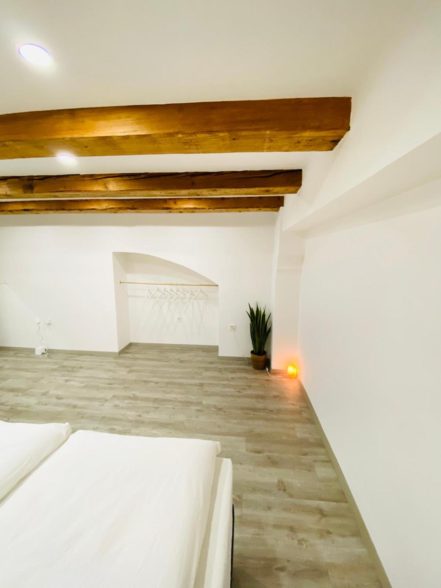 Jungle Loft - Central/Free Parking Lubiana Esterno foto