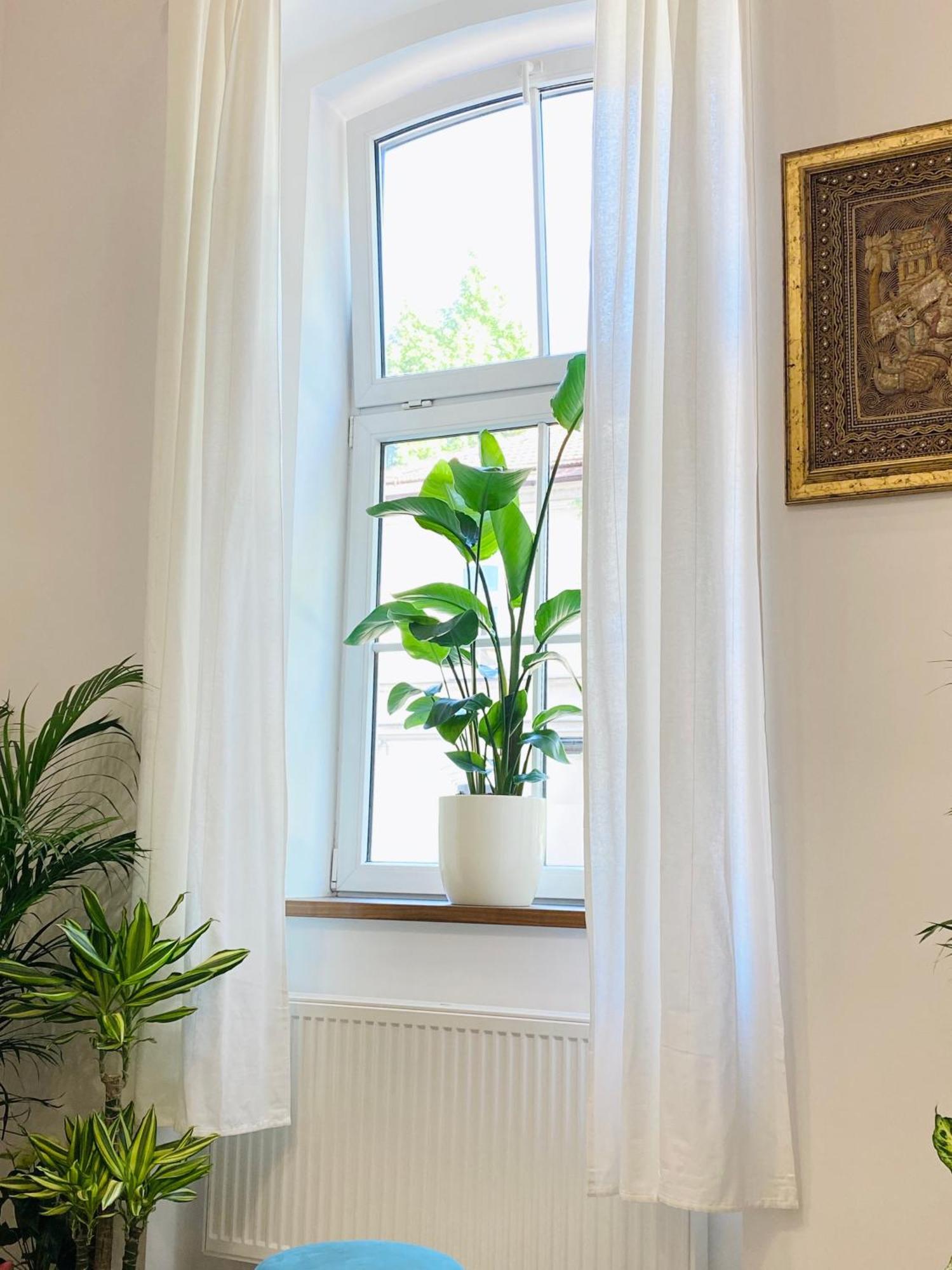 Jungle Loft - Central/Free Parking Lubiana Esterno foto