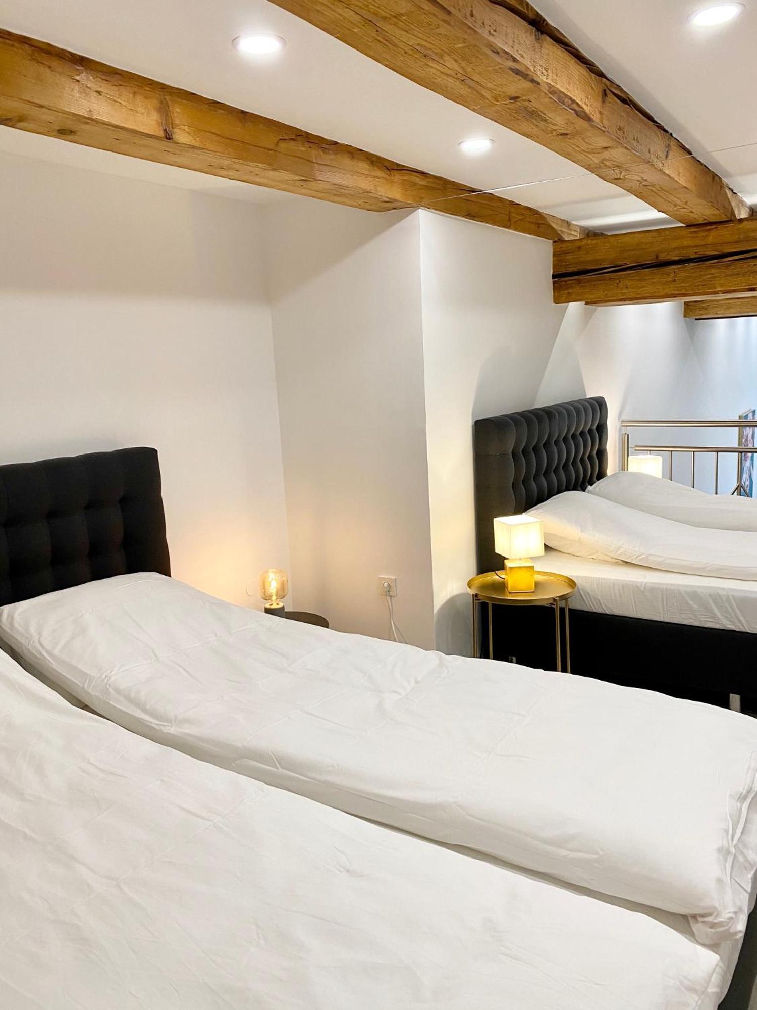 Jungle Loft - Central/Free Parking Lubiana Esterno foto